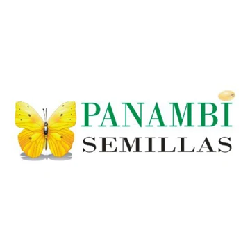 Logo Panambi Semillas