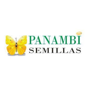 Panambi Semillas